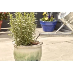 Miracle-Gro Pump & Feed All Purpose Plant Food - 200ml -Gardening Tools Shop 12834802 8834833167206419