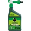 Miracle-Gro EverGreen Fast Green Spray & Feed Lawn Food - 100m² -Gardening Tools Shop 12839026 1234831884332679